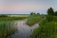 _IMG6651 copy.jpg